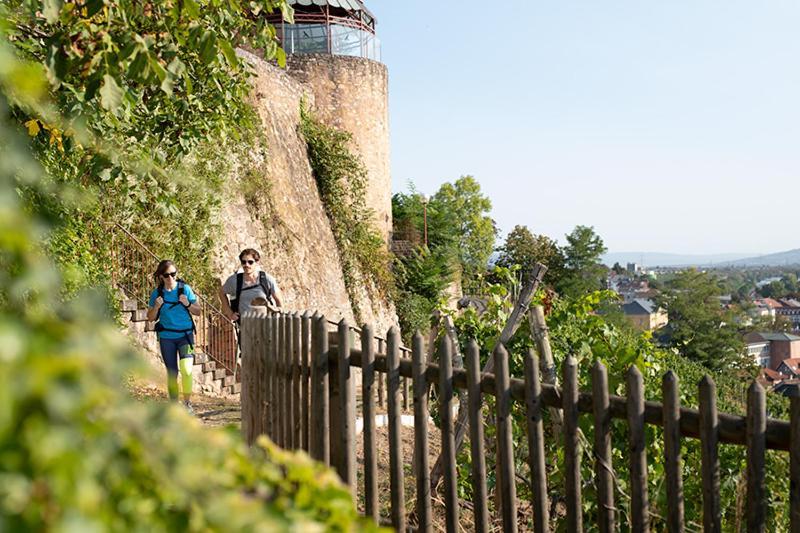 Landhotel Kauzenberg Bad Kreuznach Eksteriør billede
